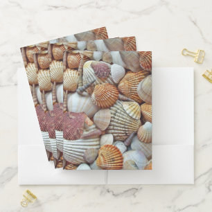 Sea Shells Pocket Folder