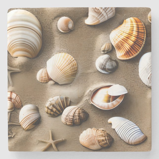 Sea Shells Sea Life Beach Ocean Art Decor Stone Coaster (Front)