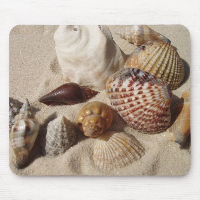Sea Shells, Sea Shells Mouse Pad (Front)
