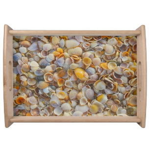 Sea Shells Serving Tray