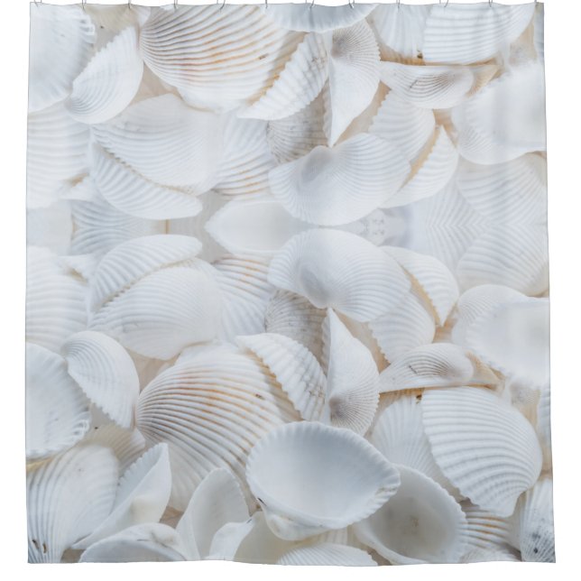 Sea Shells Shower Curtain (Front)