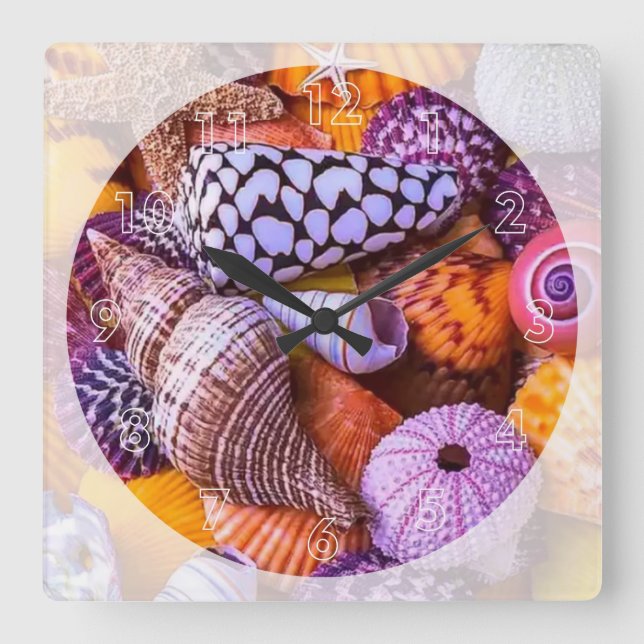 Sea Shells Square Wall Clock (Front)