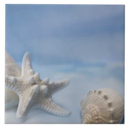Sea Shells Star Fish Hand Painted Blue Watercolor Tile