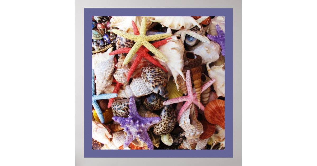 Poster poster starfish seashells 6082755
