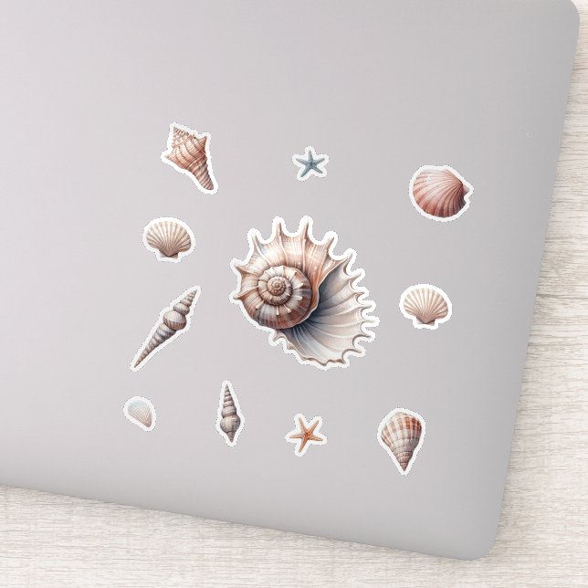 Sea Shells Sticker (Detail)