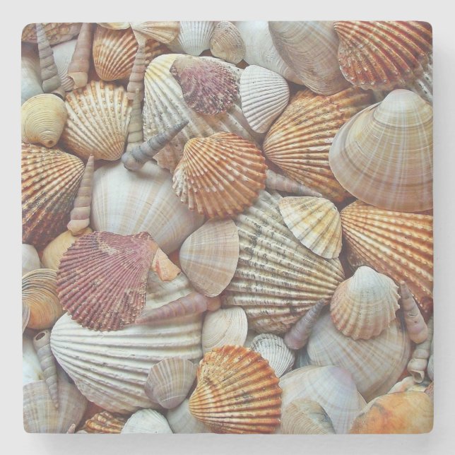 Sea Shells Stone Coaster (Front)