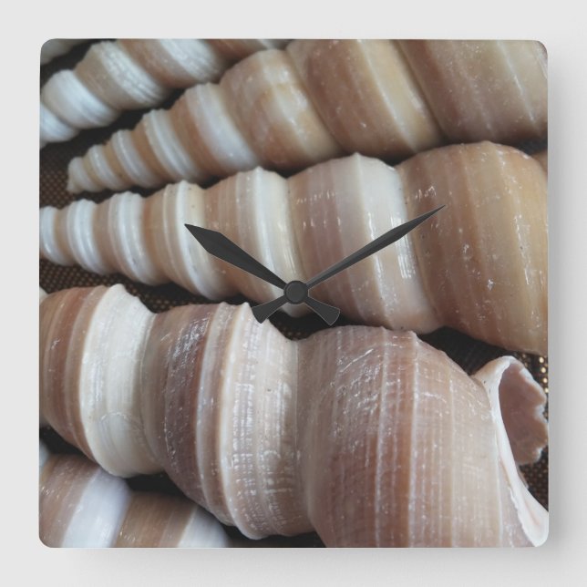 Sea Shells, Summer Beach Exotic Tropical Clock (Front)