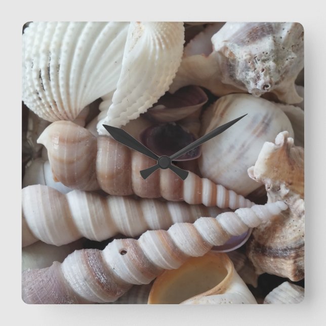 Sea Shells, Summer Beach Exotic Tropical Clock (Front)