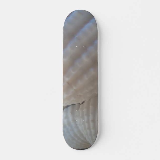 Sea Shells Summer Beach Exotic Tropical Skateboard (Front)