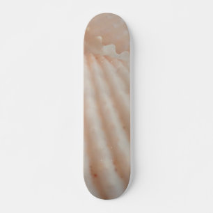 Sea Shells Summer Beach Exotic Tropical Skateboard
