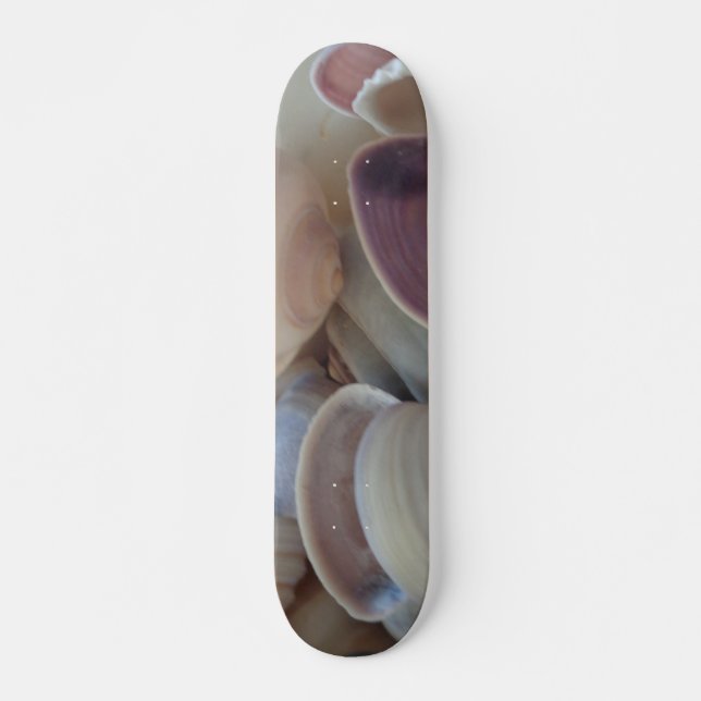 Sea Shells Summer Beach Exotic Tropical Skateboard (Front)