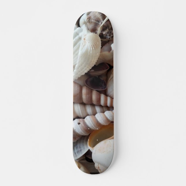 Sea Shells Summer Beach Exotic Tropical Skateboard Deck (Front)