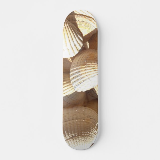Sea Shells Summer Beach Exotic Tropical Skateboard Deck (Front)
