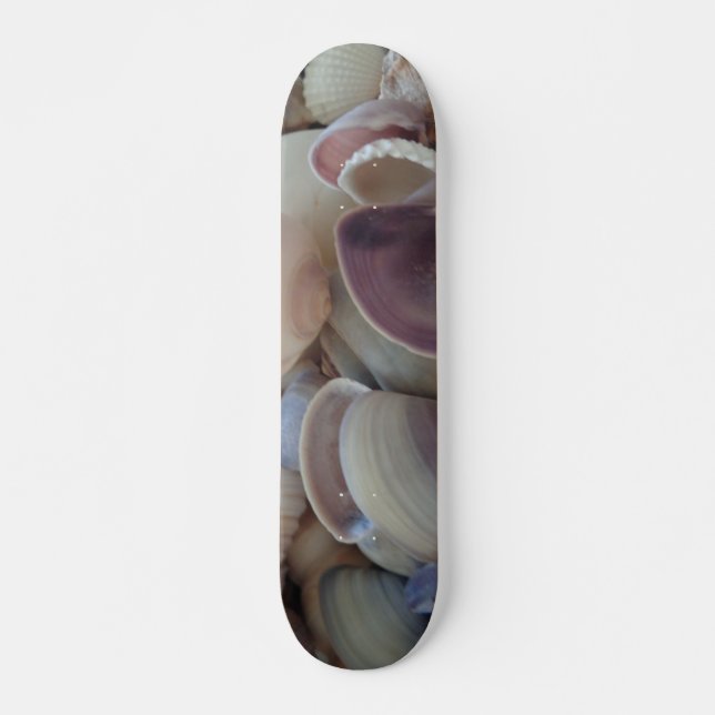 Sea Shells Summer Beach Exotic Tropical Skateboard Deck (Front)