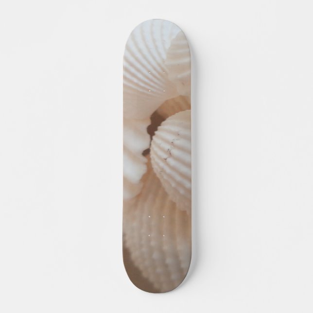 Sea Shells Summer Beach Exotic Tropical Skateboard Deck (Front)