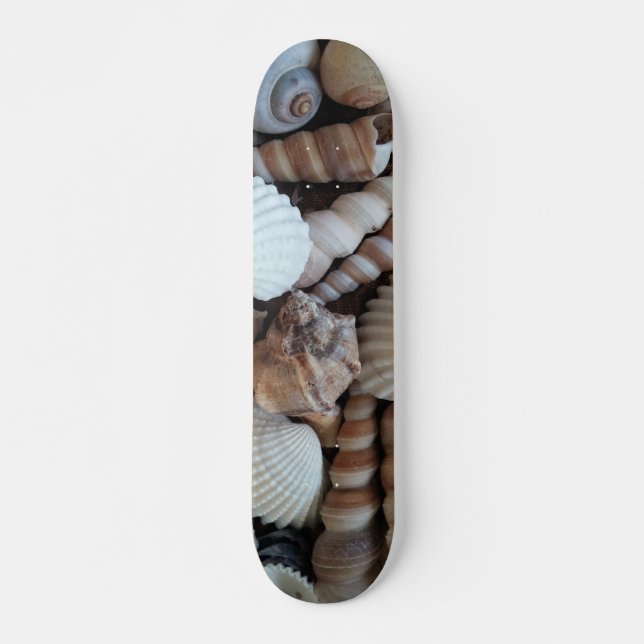 Sea Shells Summer Beach Exotic Tropical Skateboard Deck (Front)