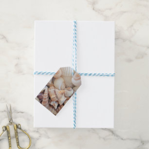 Sea Shells, Summer Exotic Tropical Photography Gift Tags