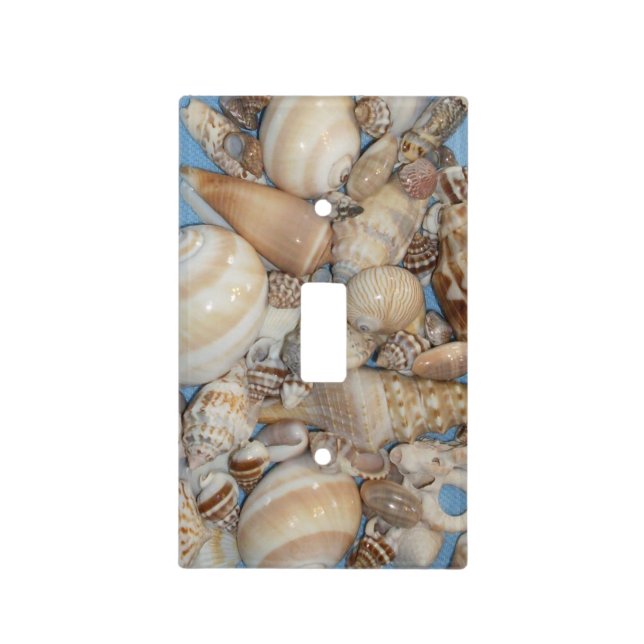 Sea Shells Switch Plate (Front)