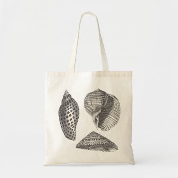 Sea Shells Tote Bag by timelesscreations at Zazzle