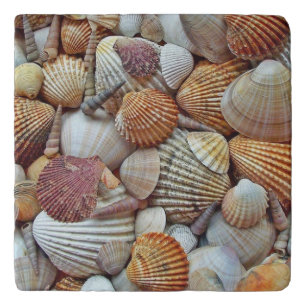 Sea Shells Trivet
