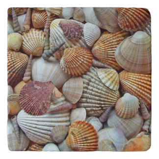 Sea Shells Trivet