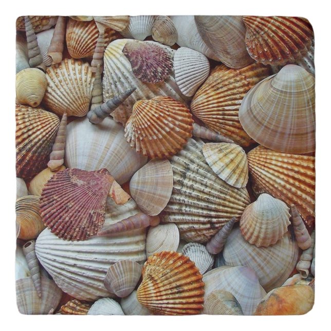 Sea Shells Trivet (Front)