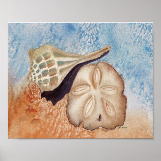 Sea Shells  watercolor painting Poster