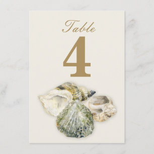 Sea shells wedding table numbers