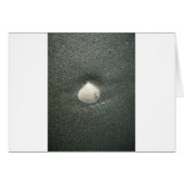 Sea shore shells Hakuna Matata.JPG (Front Horizontal)