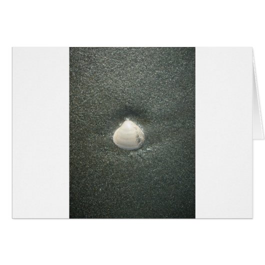 Sea shore shells Hakuna Matata.JPG (Front Horizontal)