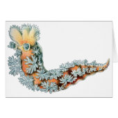 Sea Slug (Front Horizontal)