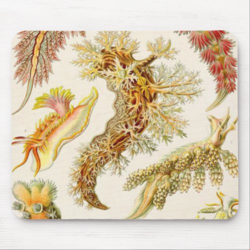 Sea Slug _ Ernst Haeckel Mouse Pad