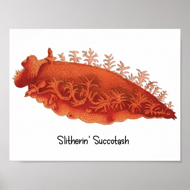 Sea Slug Poster Slitherin' Succotash (Front)