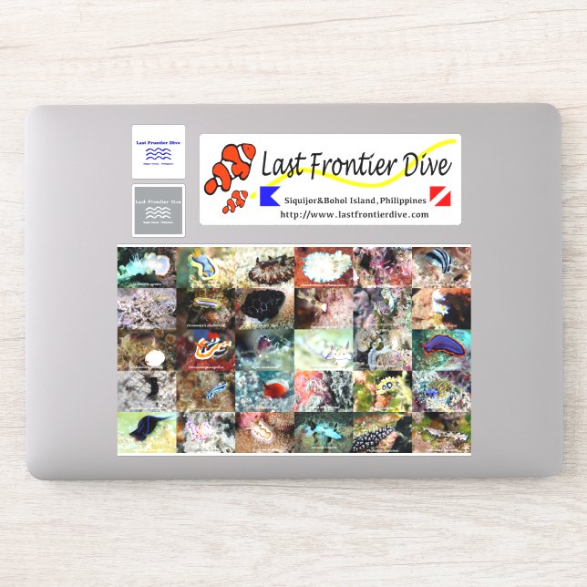 【Sea Slug】Put on Your Diving Log Book! Sticker (Computer)