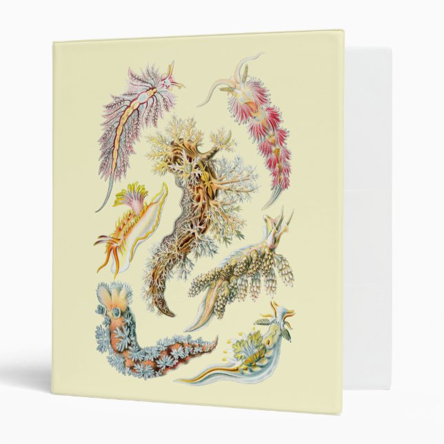 Sea Slugs Binder (Front/Inside)