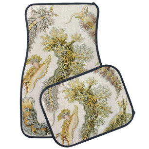 Sea Slugs by Ernst Haeckel, Vintage Nudibranchia Car Floor Mat