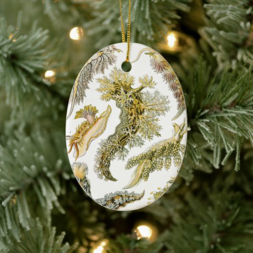 Sea Slugs by Ernst Haeckel Vintage Nudibranchia Ceramic Ornament