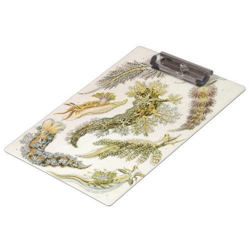 Sea Slugs by Ernst Haeckel Vintage Nudibranchia Clipboard