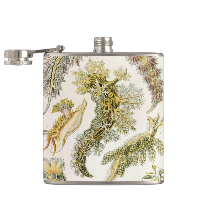 Sea Slugs by Ernst Haeckel, Vintage Nudibranchia Flask (Opened)