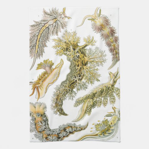 Sea Slugs by Ernst Haeckel Vintage Nudibranchia Kitchen Towel