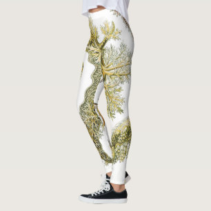 Sea Slugs by Ernst Haeckel, Vintage Nudibranchia Leggings