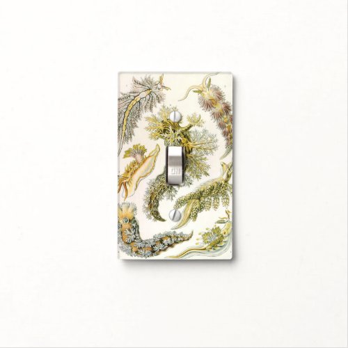 Sea Slugs by Ernst Haeckel Vintage Nudibranchia Light Switch Cover