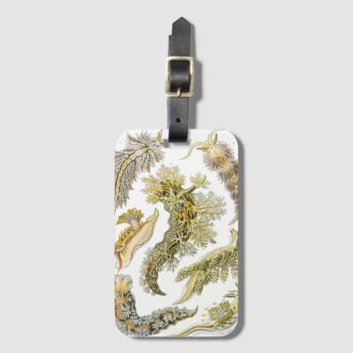 Sea Slugs by Ernst Haeckel Vintage Nudibranchia Luggage Tag