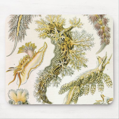 Sea Slugs by Ernst Haeckel Vintage Nudibranchia Mouse Pad