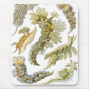 Sea Slugs by Ernst Haeckel, Vintage Nudibranchia Mouse Pad