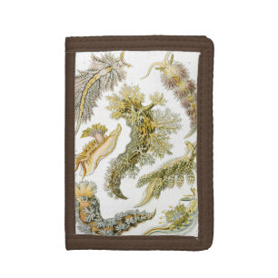 Sea Slugs by Ernst Haeckel, Vintage Nudibranchia Trifold Wallet