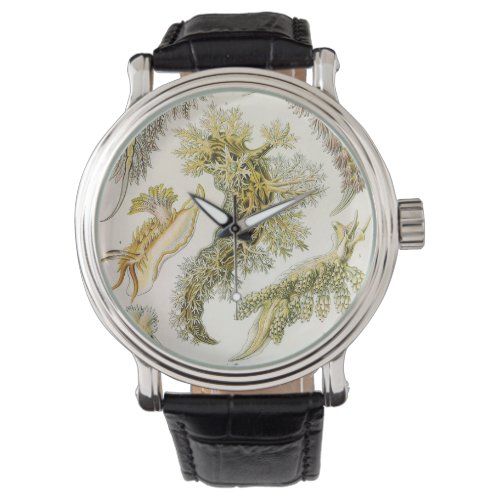 Sea Slugs by Ernst Haeckel Vintage Nudibranchia Watch