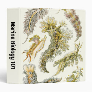 Sea Slugs, Snails by Ernst Haeckel, Vintage Animal 3 Ring Binder