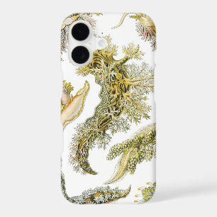 Sea Slugs, Snails by Ernst Haeckel, Vintage Animal iPhone 17 Case