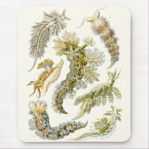 Sea Slugs, Snails by Ernst Haeckel, Vintage Animal Mouse Pad